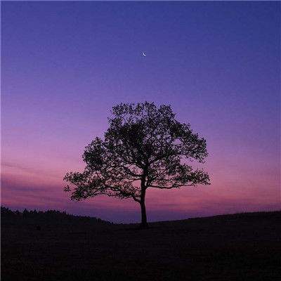 完美电竞app下载